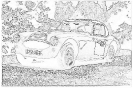auto_2225