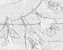 army_135