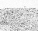 kosmos_113